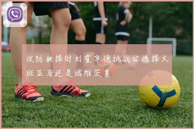 攻防抉择时刻霍华德挑战你选择文班亚马还是诺维茨基