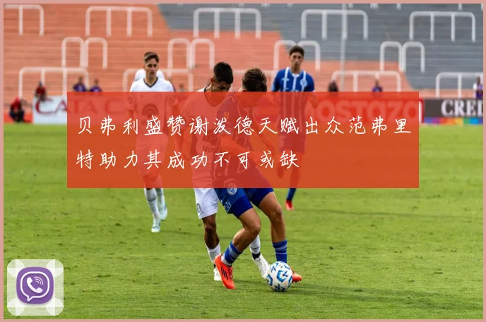 贝弗利盛赞谢泼德天赋出众范弗里特助力其成功不可或缺
